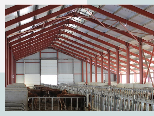 Строительство коровников в Чите