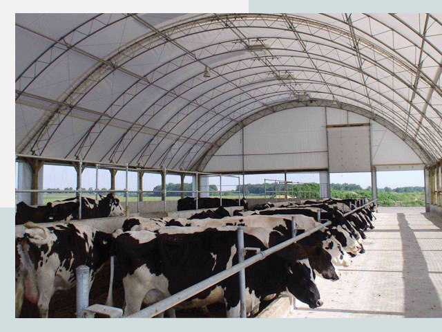 Тентовые коровники в Чите