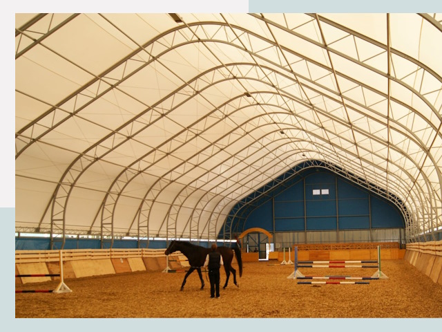 Строительство конных манежей в Чите